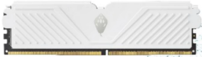 ANACOMDA 巨蟒 S 電競超頻記憶體 桌上電腦專用, 1個, 16GB, S D4 16GB 3200MHz