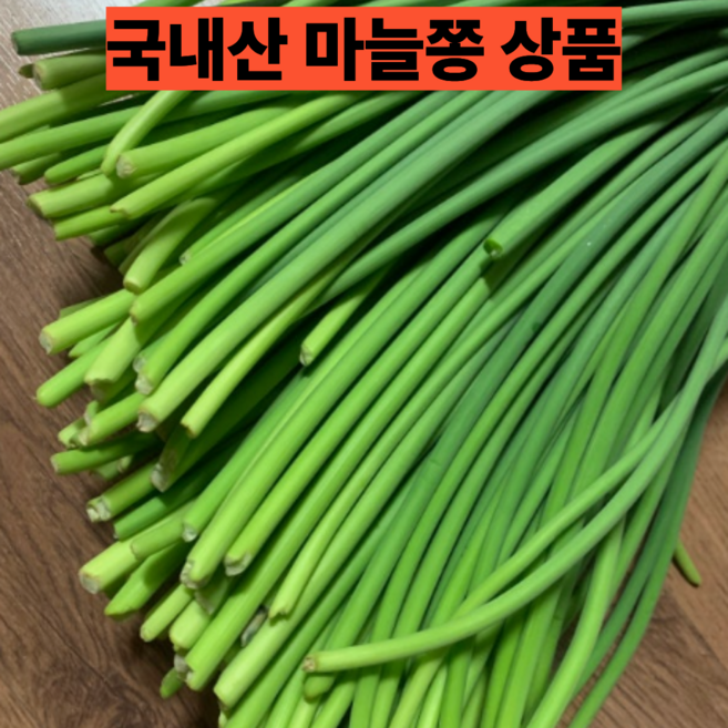 국내산 햇마늘쫑 신선 제철 채소 장아찌용 볶음용 아삭한 마늘종, 1개, 1kg