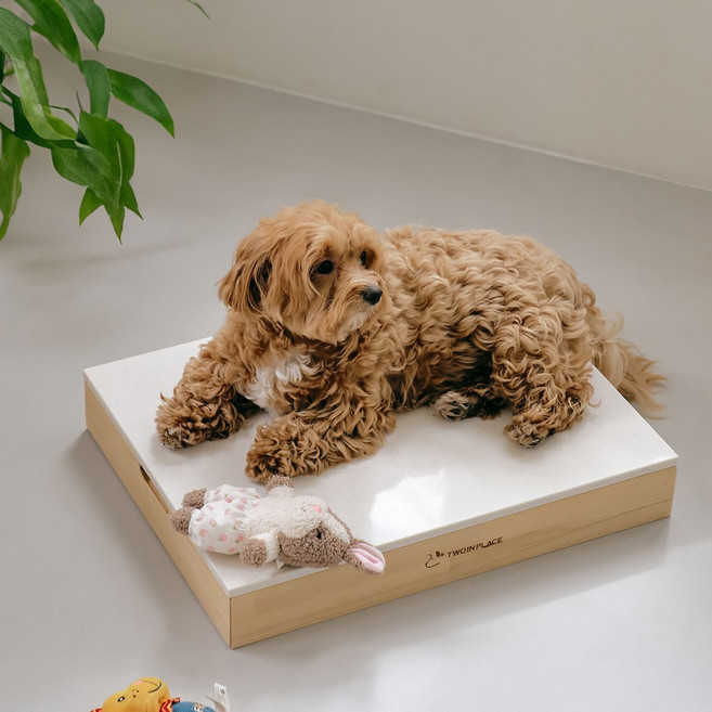 투인플레이스 반려동물 서랍형 대리석 편백프레임 + 대용량아이스팩 세트, 밝은계열 랜덤발송