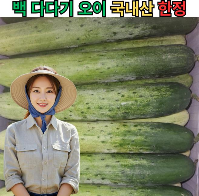 [오이best] 산지직송 당일수확 재구매율1위 오이 백다다기오이 Korea Crunchy Cucumber, 2박스, 10kg