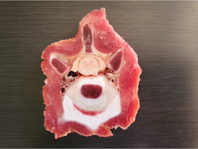 [생푸드] 송아지목뼈 1kg(뉴질랜드), 1개