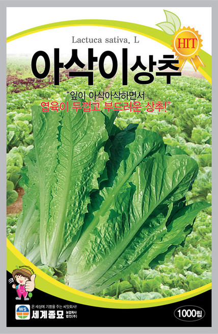 세계종묘 아삭이상추 씨앗 1000립, 1개