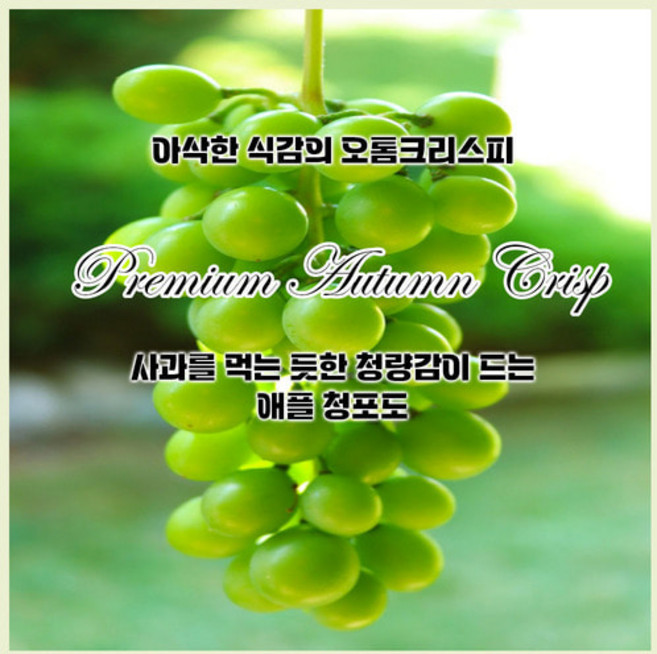 오톰크리스피 아삭한 식감의 고당도 수입 애플 청포도 애플포도 스윗글로브 1kg 2kg, 2개, 1kg내외