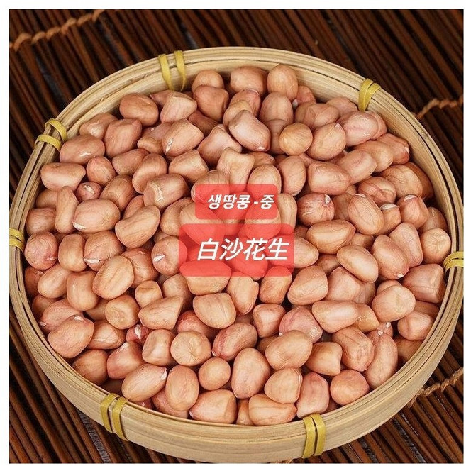 [오늘의 아시아푸드] 생땅콩 중국생땅콩 중간알 바이싸, 1개, 500g