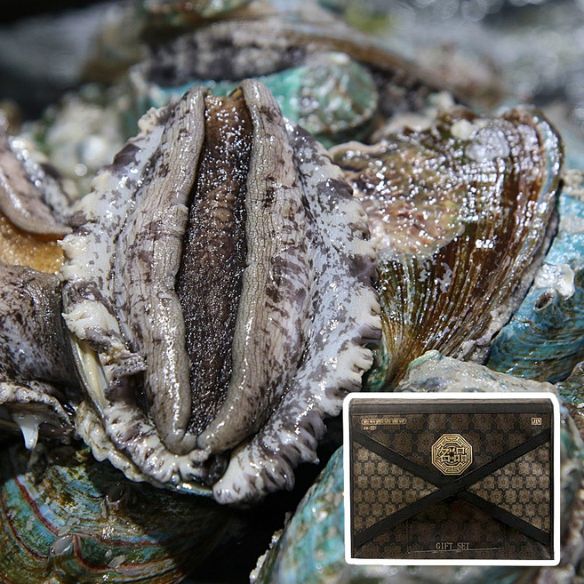 [선물세트] 산지직송 명품 활전복 선물세트, 1개, 실속 선물세트 1.5kg(16~18미)