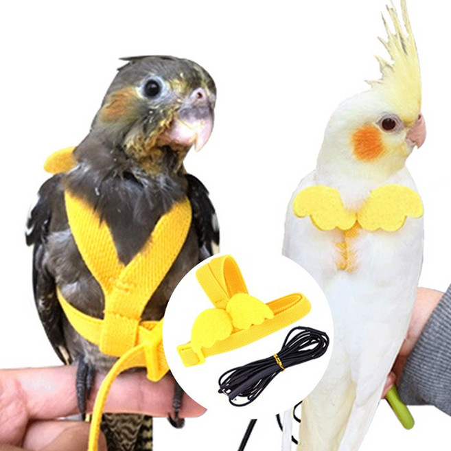 앵무새 반려새 하네스 발목링 산책 리드줄, 브브 1-앵무새하네스-XS, 1개