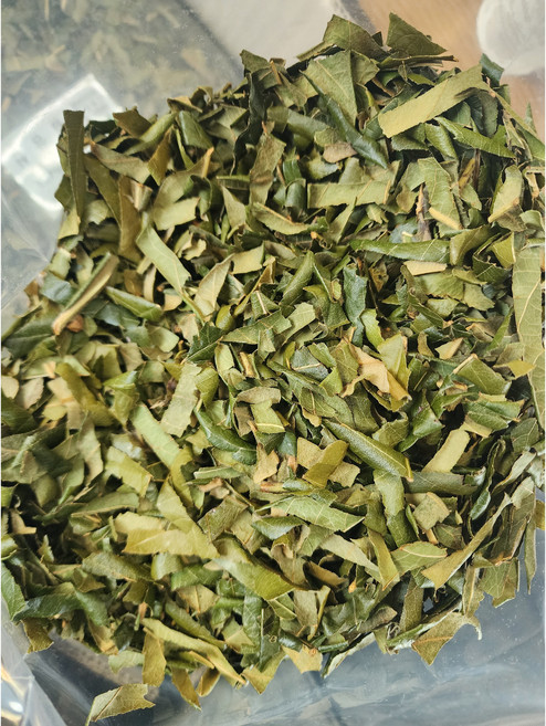 완도 유기농 비파잎차 티타임 티백 비파차, 500g, 1개, 1개입