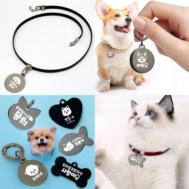 주문제작 강아지 고양이 인식표 펜던트 목걸이 반려동물 이름표 반려견 반려묘 목줄, 고양이(소형)_손글씨체, 1개, 블랙