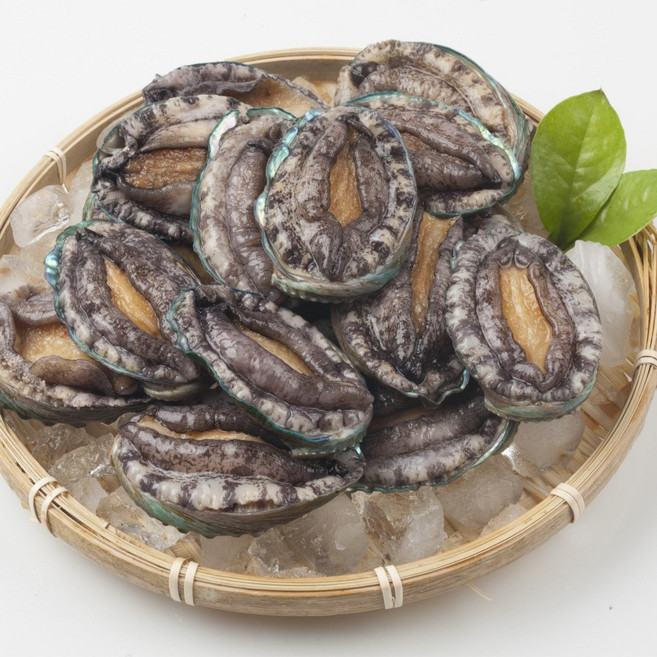 이음식관 싱싱한 완도 활전복 제철수산물 산지직송, 1박스, 완도산 활 전복 500g (6~7미 / 중대)