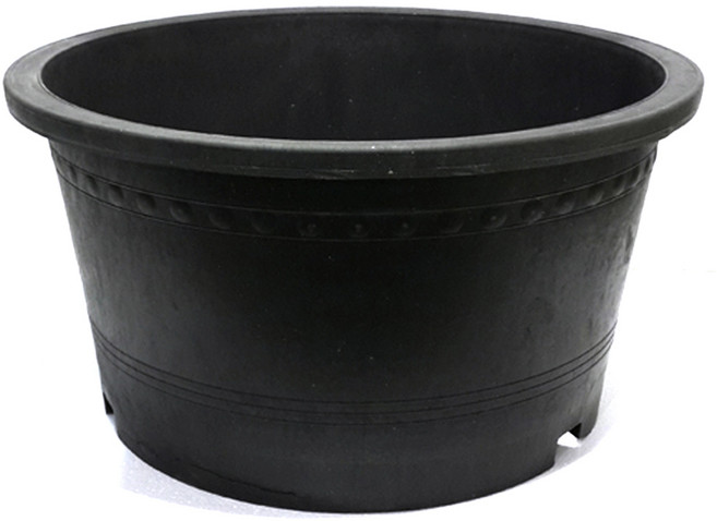 신형블루베리분(대)-대형화분 블루베리화분 고무화분 도로화분