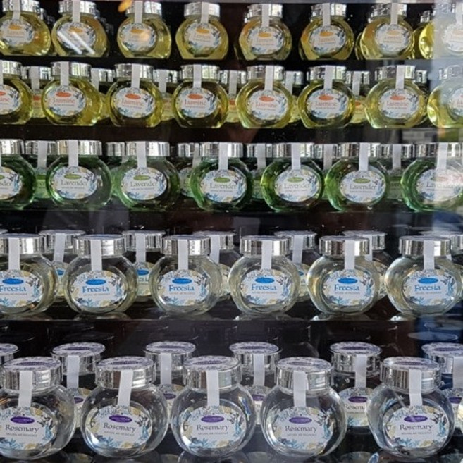 Herb Life 허브라이프 자동차방향제 천연방향제 AIR1000공기청정기 장착 차량 사용가능., 레몬, 1개