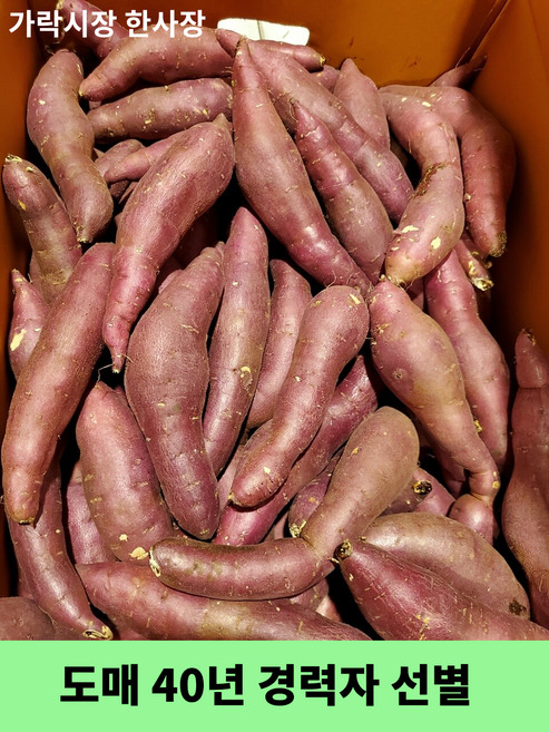 가락시장 한사장 못난이 고구마 밤고구마 (도매 40년 경력자가 선별), 5kg 내외, 1박스