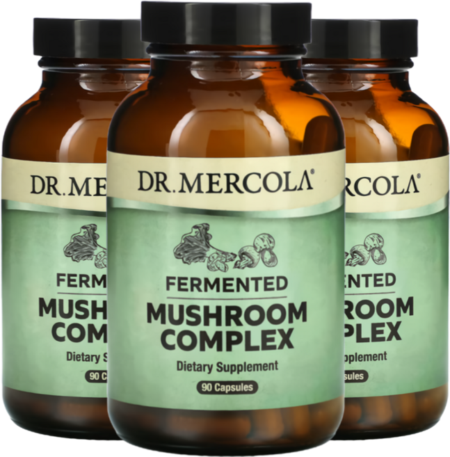 닥터머콜라 버섯 머쉬룸 영지버섯 표고버섯 동충하초 운지 잎새 구름 우장지, 3개, 90정