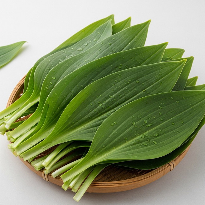 [100%산지직송] 잎명이 자연산 명이나물 생 국산 산마늘잎 울릉종, 1박스, 500g