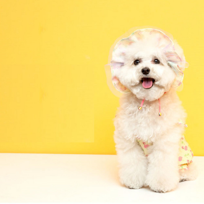 강아지 보닛 귀통풍 이어슈슈 강아지썬캡 4color, 핑크, 1개