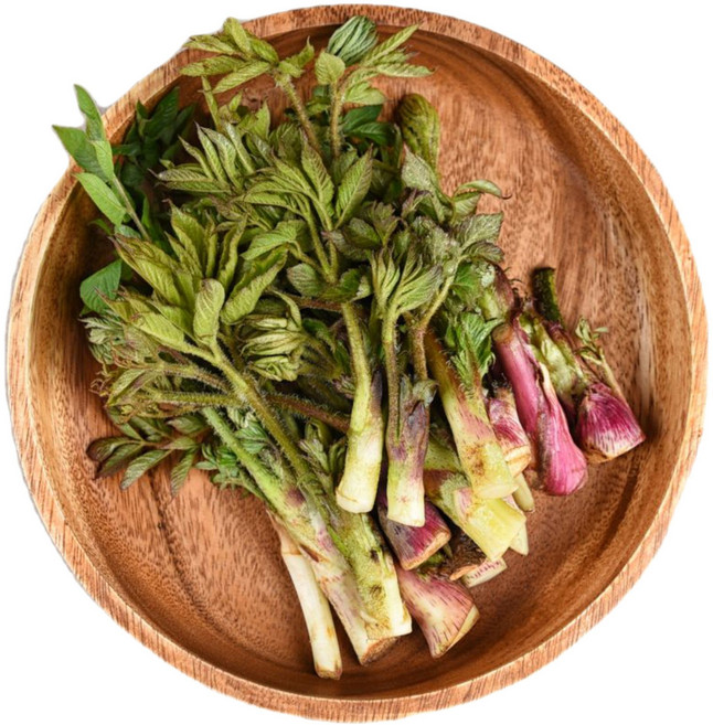 땅두릅, 1kg, 1개