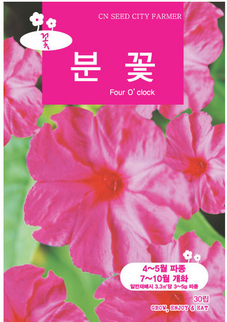영농사 중포장 분꽃씨앗 30립 분꽃씨, 5개