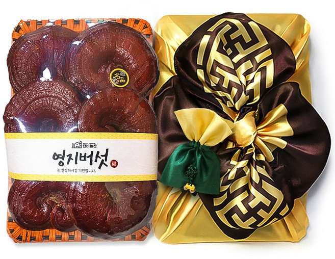 단비농산 국산 영지버섯 선물세트 (강원도 고성 국산100%) 보자기 포장, 1개, 통영지 500g