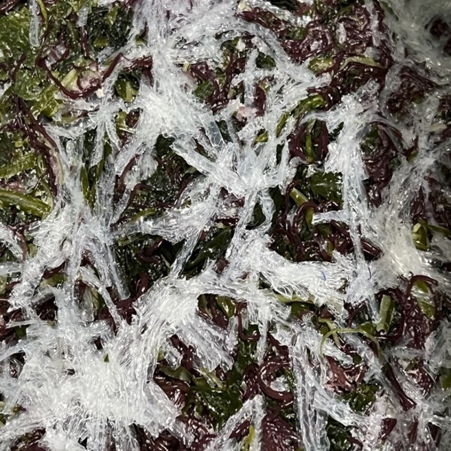 전라남도 완도산 프리미엄 씨포유 염장 모듬해초, 1박스, 1kg