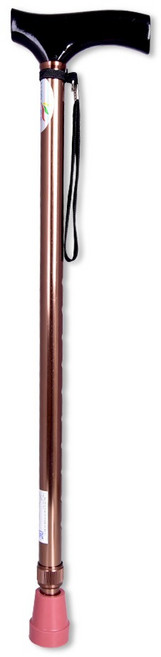 웰비 알루미늄 2단 지팡이 BT772 높낮이조절식, 1개