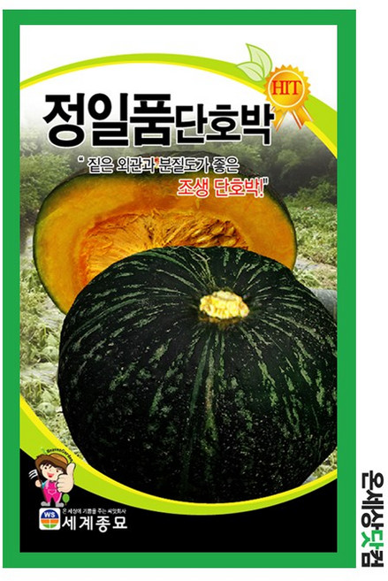 정일품단호박 30립 / 호박씨 호박씨앗 단호박씨앗 단호박씨, 1개