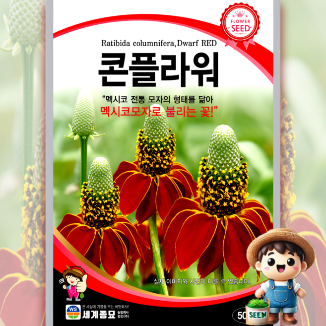 남흥원예사 콘플라워 300립 멕시코모자 원예 관상 조경 화단 용 꽃씨 씨앗 종자 세계종묘, 1개