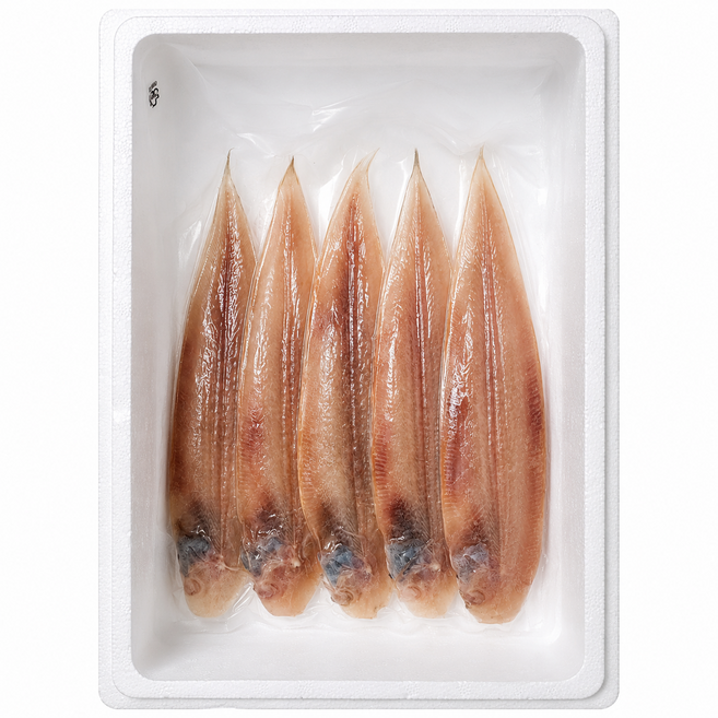 손질 반건조 박대 구이 조림용 진공포장, 1개, 대 5미 28-30cm