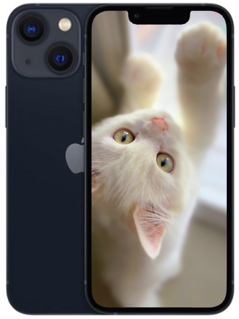 iP13 새상품 미개봉, 256GB, 애플 아이폰 13 블랙