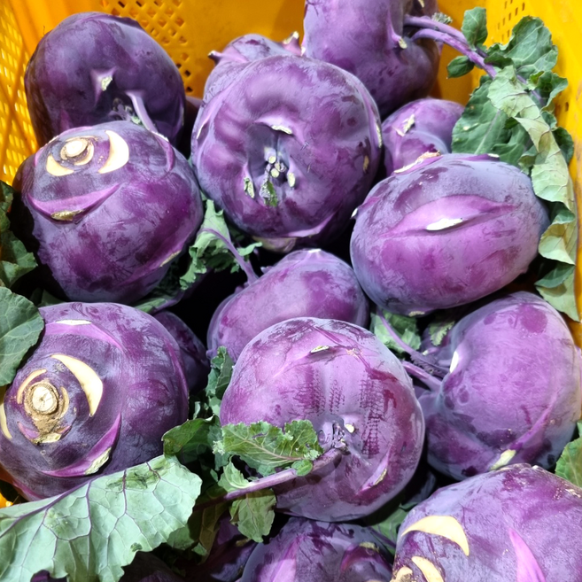 제주도 산지직송 제철 적색 콜라비 3kg 5kg, 1박스, 로얄 5kg(혼합)