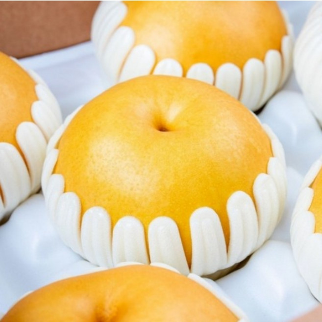 햇 배 나주배 선물세트 당도선별 GAP인증 산지직송, 1박스, 5kg, 상(8~10과)