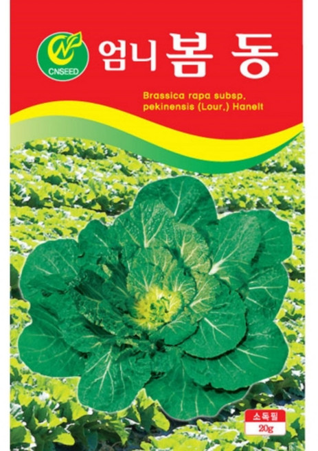 영농사 엄니 봄동씨앗 20g 월동배추씨, 엄니봄동배추, 1개