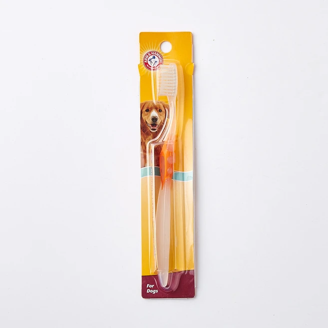 암앤해머 애견용 강아지 반려견 성견 칫솔 1개 - 쿠팡