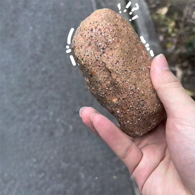 눈에 잘 띄지 않는 열쇠 보관함 모조석재 분실 방지함, 1개, 오리알 돌 11x6x4cm