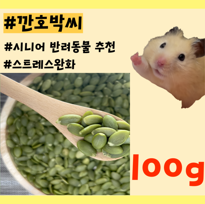 천연 호박씨 햄스터 앵무새 래트 영양 간식, 1개, 100g