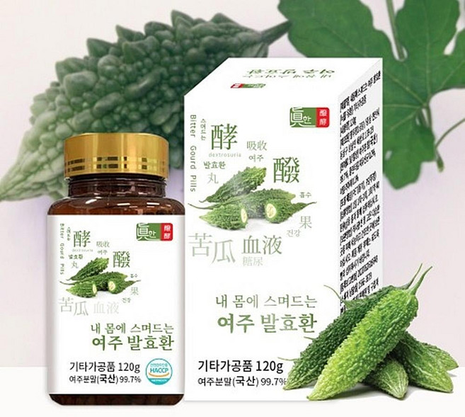 웰러스 내몸에 스며드는 여주발효환 120g, 1개