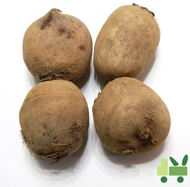 사라상회 비트 10Kg (상), 1개