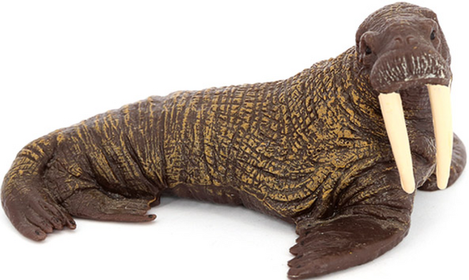 제트피규어 바다코끼리 피규어 장난감 바다 해양 동물 생물 모형, 1개