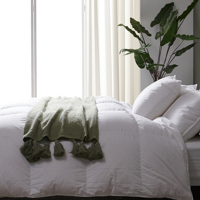 호레카클래식스 겨울이불 구스 사계절 호텔 구스다운이불 세트, 구스이불(단품), 화이트