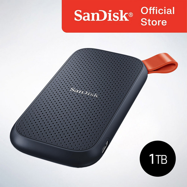샌디스크 Portable SSD E30, 1TB, 블랙