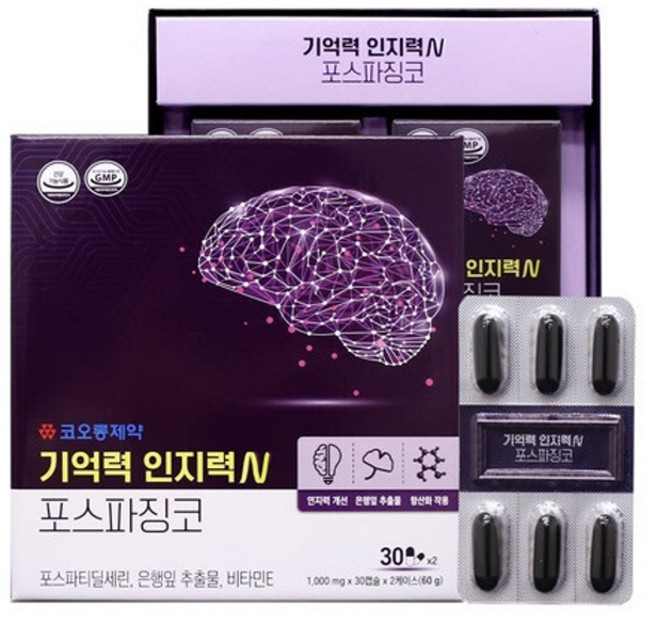 기억력 인지력 엔 포스파징코 1000mg x 60캡슐, 1개, 60정