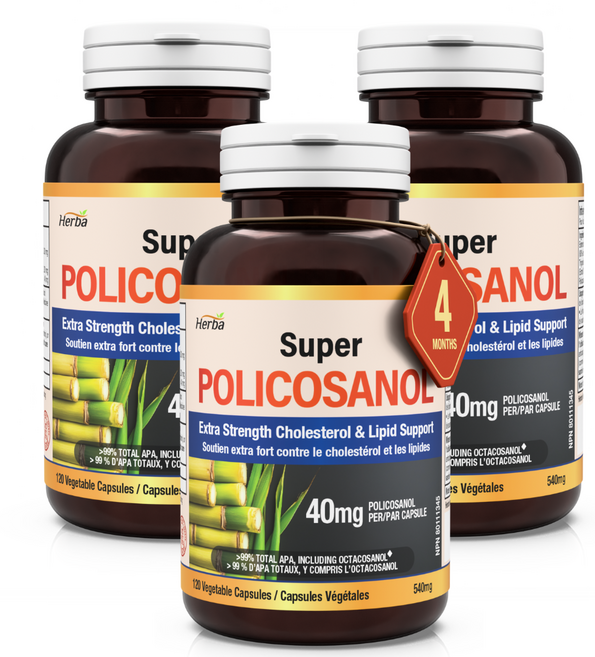 폴리코사놀 40mg 120식물성캡슐 9가지 지방족 알코올 99.23% 옥타코사놀 62.56% 함유 고함량 슈퍼 Policosanol 허바 캐나다, 3개, 120정