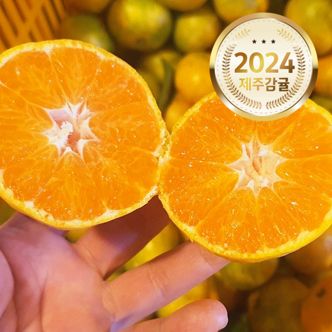 새콤달콤과즙폭발 14brix 제주 감귤 귤, 1박스, 1kg (소과)
