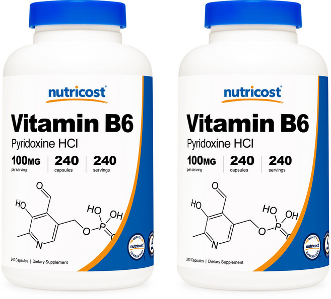 뉴트리코스트 피리독신 비타민B6 100mg 240캡슐 x 2통, 2개, 240정