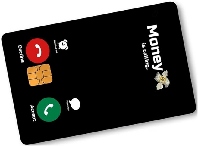 털보몰 비트코인 달러 스킨 카드스티커, 1개, XYK-1037