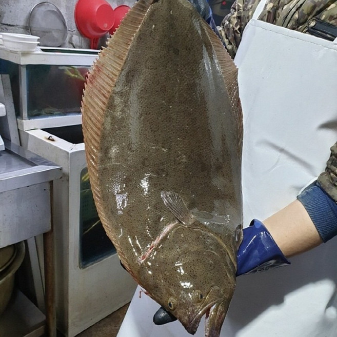 [타임특가] 당일작업 대광어회 광어필렛 2kg이상 대광어 광어회, 1개, 대광어회 1팩 (200g)