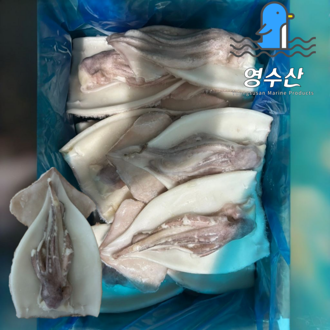 할복오징어 손질오징어 13-16미, 1개, 4kg