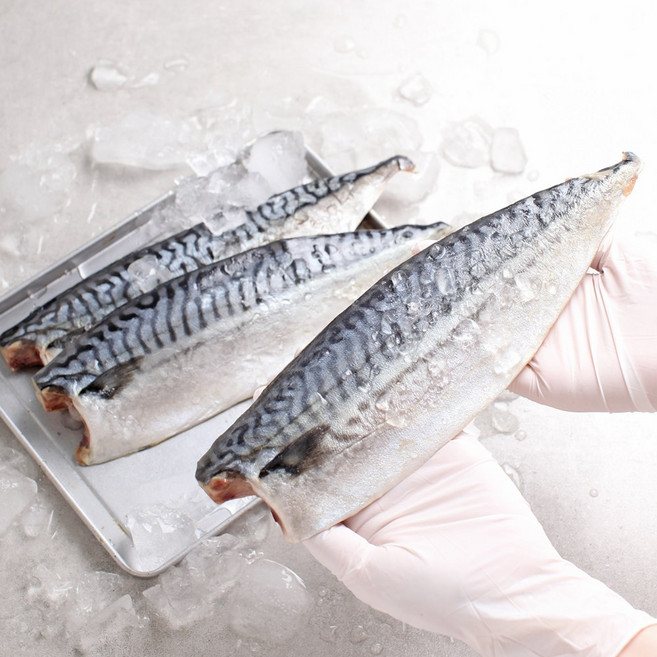 순천만수산 프리미엄 왕특대 노르웨이 고등어 노르웨이 산지가공, 10개, 170-190g