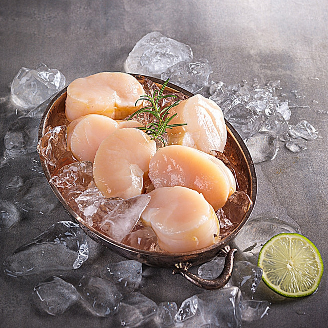 오씨네수산 장흥 생물 키조개관자 최상품 손질 통관자, 1개, 생물 통관자 500g(6-9미내외)