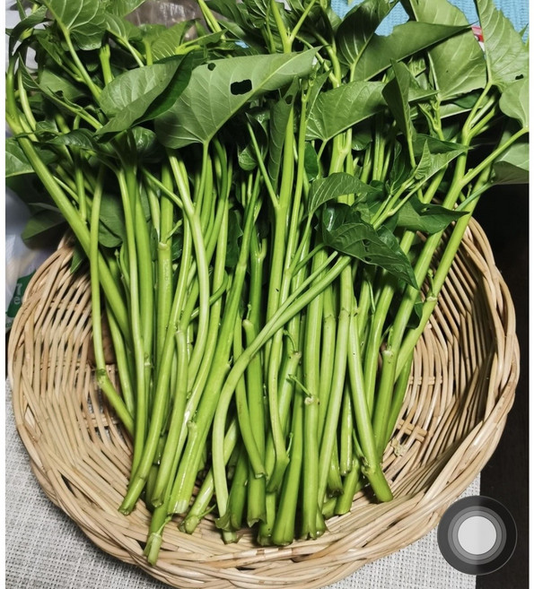 공심채 rau muong 1kg, 1개