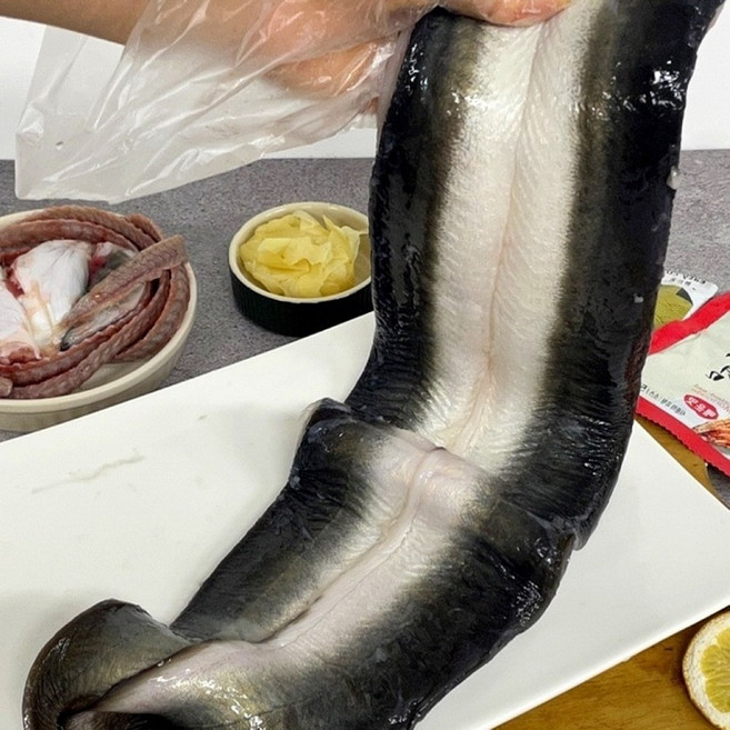 고창 자포니카 민물장어, 1개, 3kg